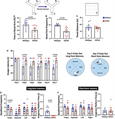 Distribution and inter-regional relationship of amyloid-beta plaque deposition in a 5xFAD mouse model of Alzheimer’s disease